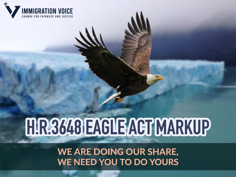 H.R.3648 EAGLE Act House Judiciary Committee Markup Immigration Voice